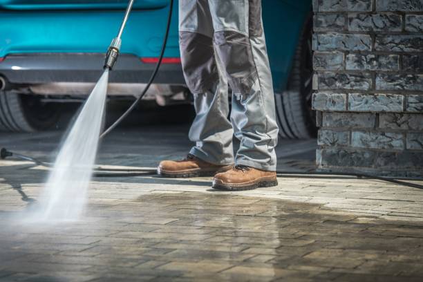 Best Building Exterior Washing  in Town N Country, FL