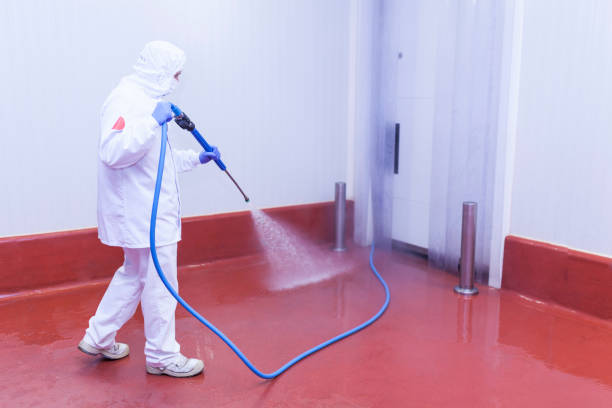 Best Pre-Holiday Cleaning  in Town N Country, FL