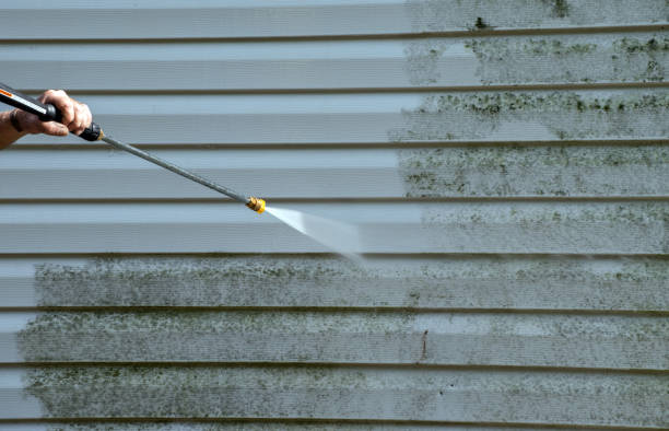Professional Pressure Washing in Town N Country, FL