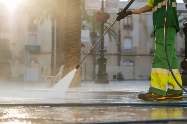 Best Gutter Cleaning  in Town N Country, FL